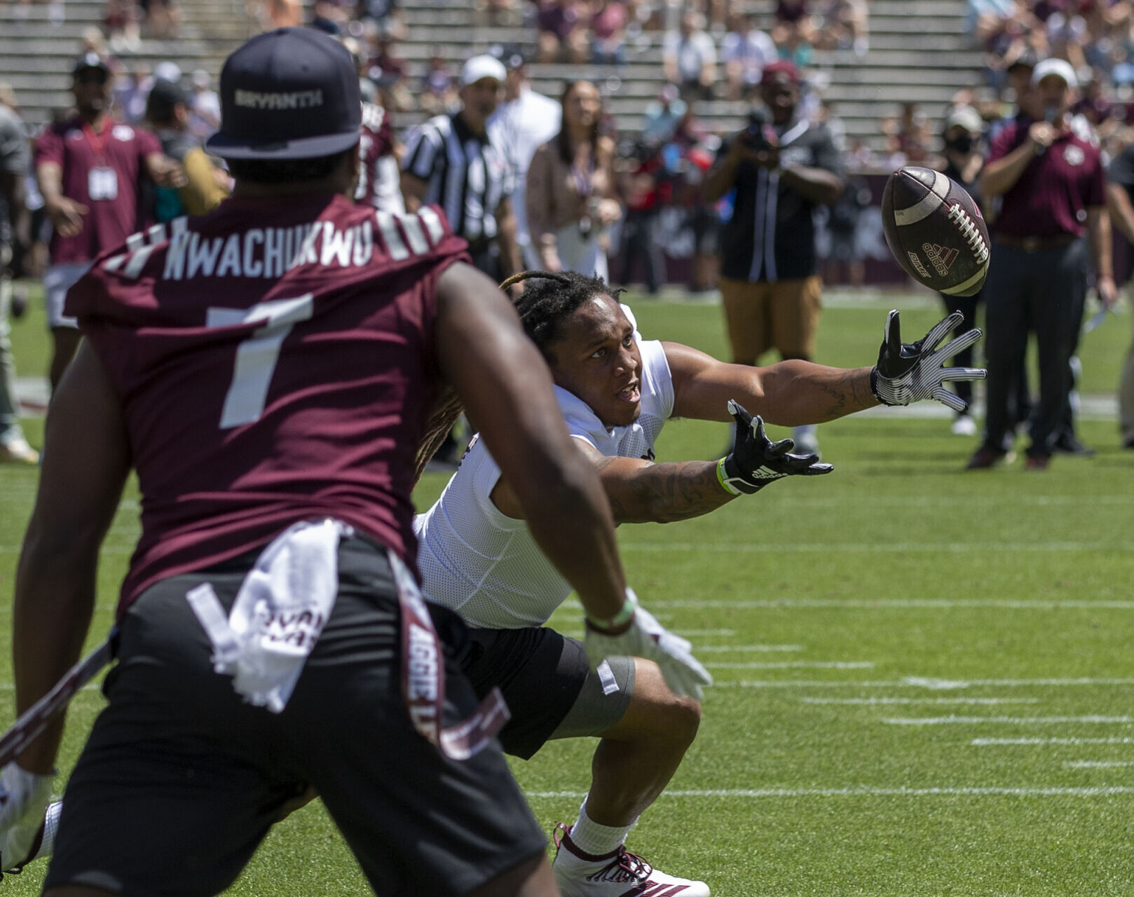 Maroon & White